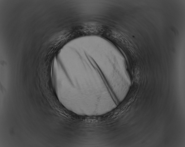 X0000090501297200708031200