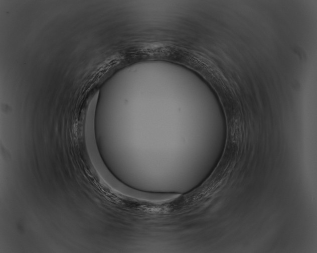 X0000090501298200708031200