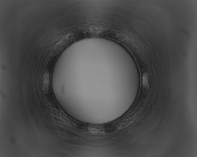 X0000090501299200708031200