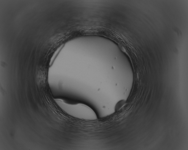 X0000090501300200708031200