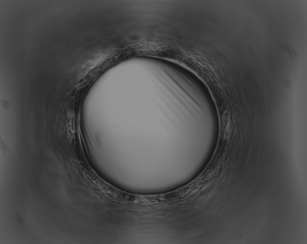 X0000090501301200708031200