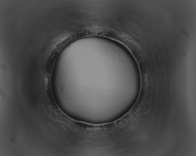 X0000090501302200708031200