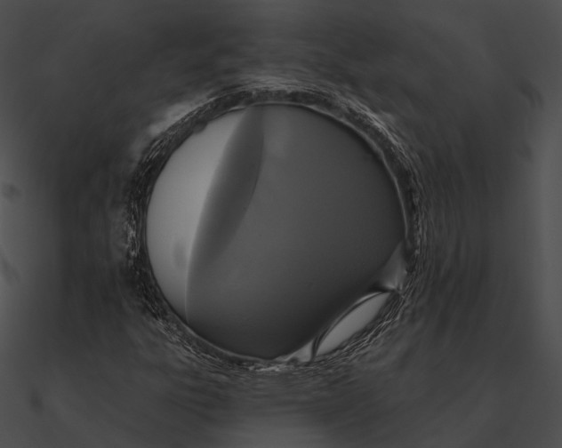 X0000090501303200708031200