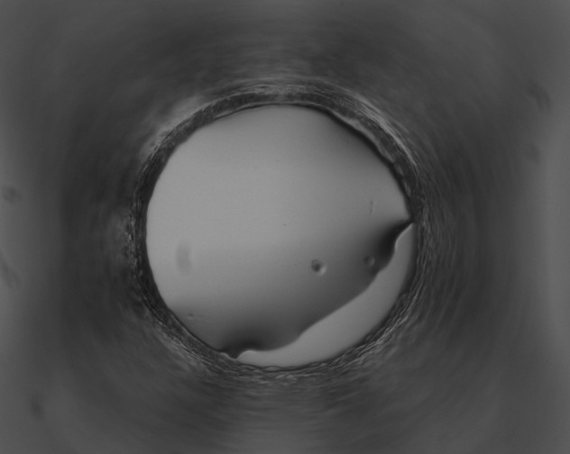 X0000090501304200708031200