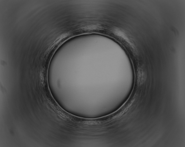 X0000090501305200708031200