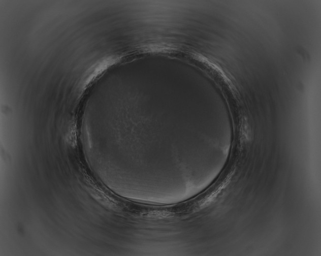 X0000090501306200708031200