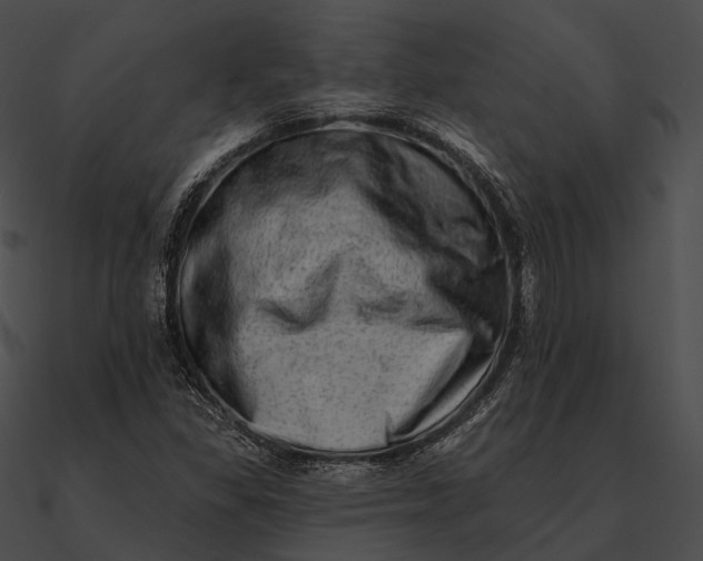 X0000090501309200708031200