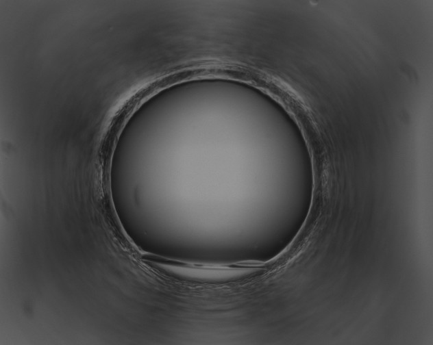 X0000090501310200708031200