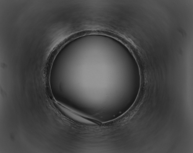 X0000090501311200708031200