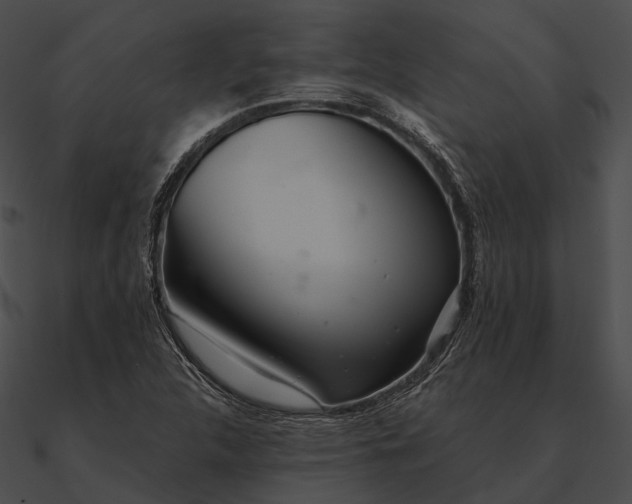 X0000090501312200708031200