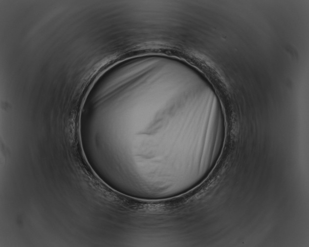 X0000090501313200708031200