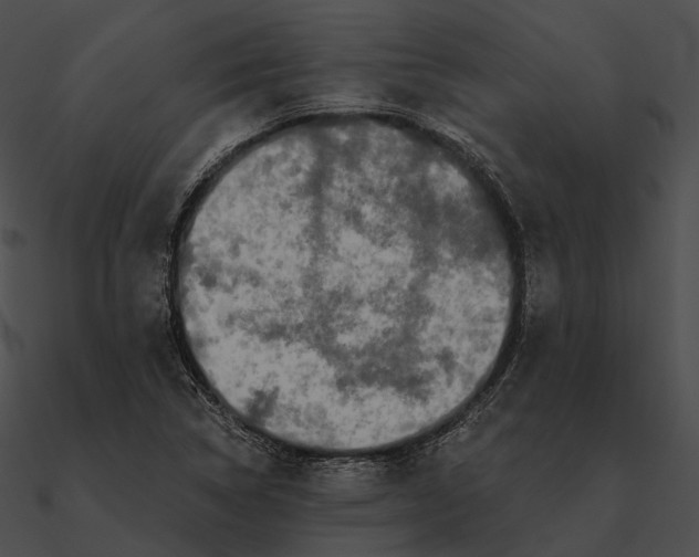 X0000090501314200708031200