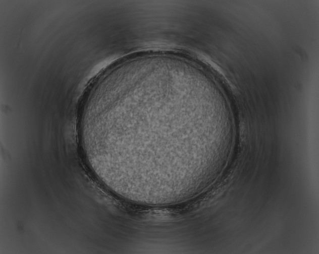 X0000090501315200708031200