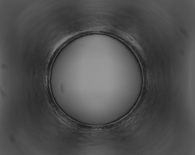 X0000090501316200708031200