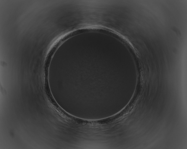 X0000090501319200708031200