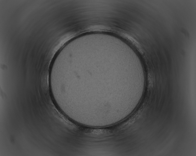 X0000090501322200708031200