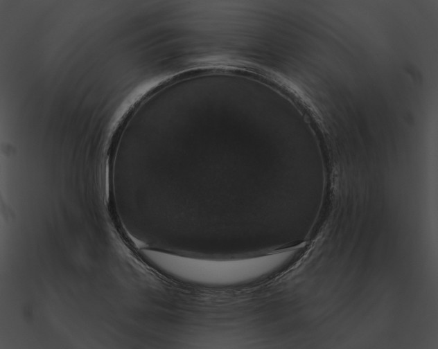 X0000090501323200708031200