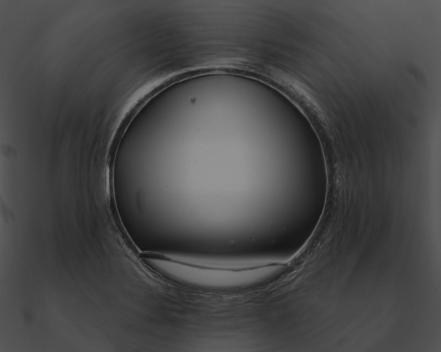 X0000090501324200708031200