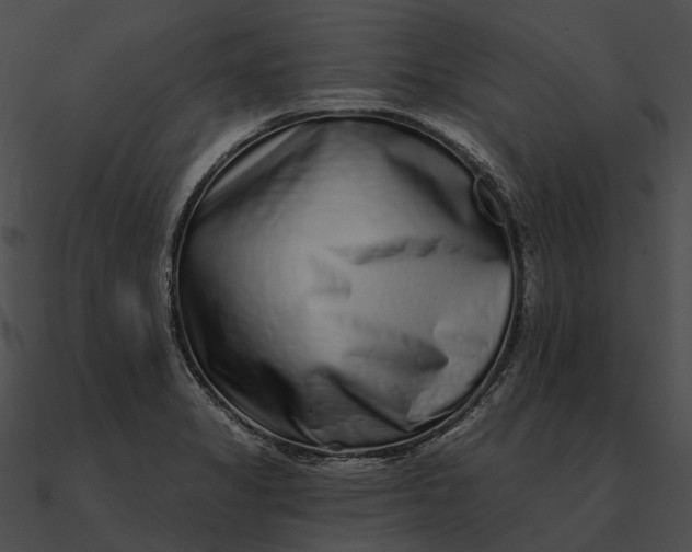 X0000090501325200708031200