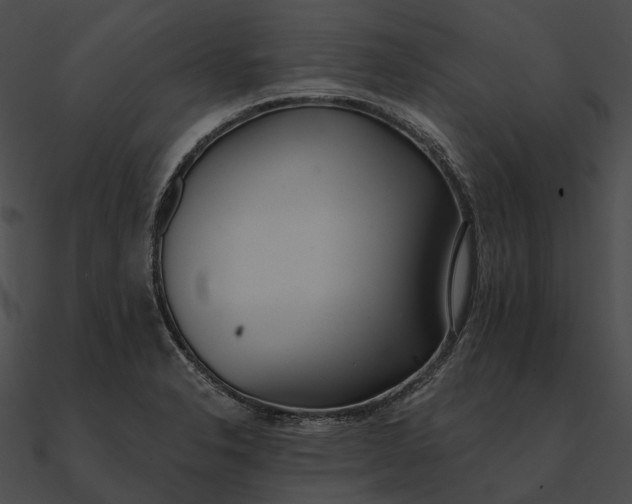 X0000090501326200708031200