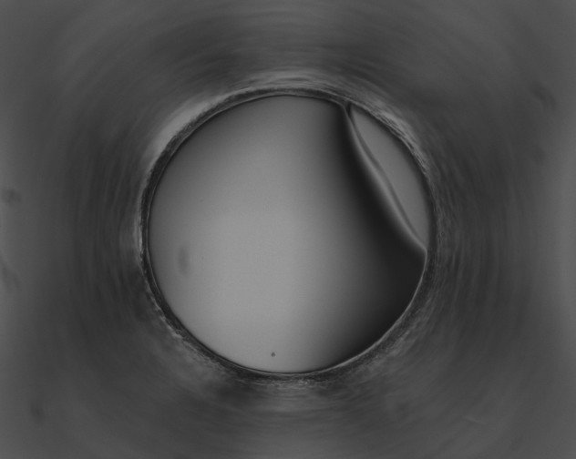 X0000090501328200708031200