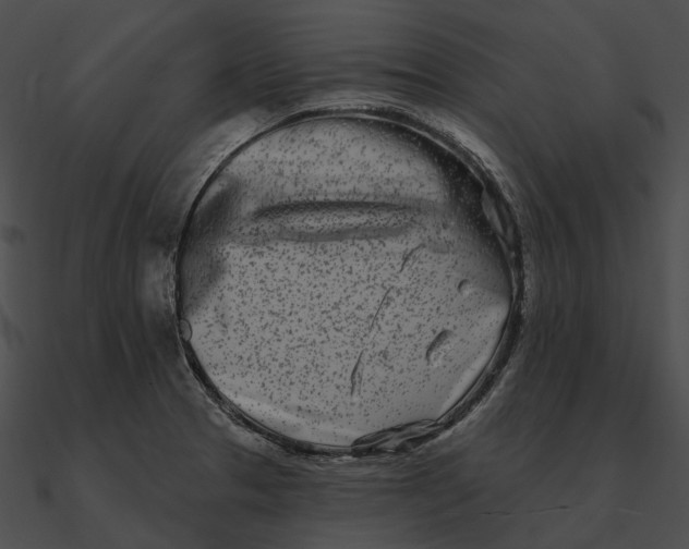 X0000090501329200708031200