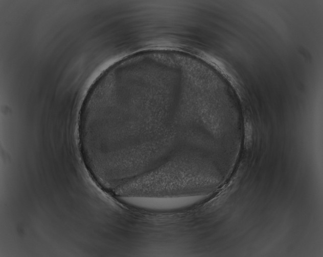 X0000090501331200708031200