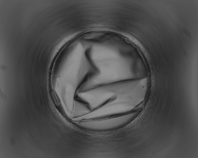 X0000090501333200708031200