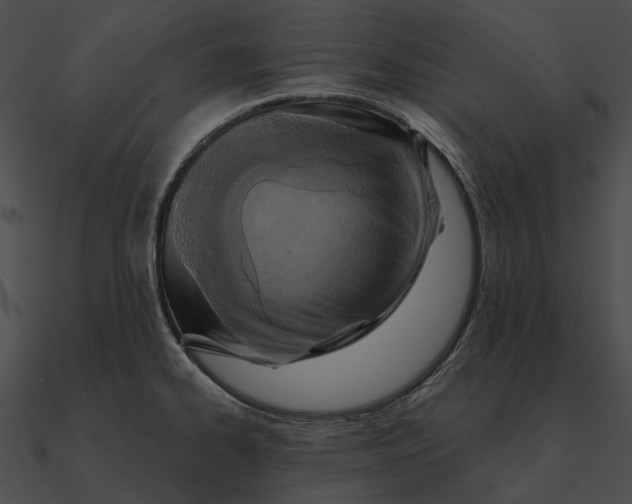 X0000090501334200708031200