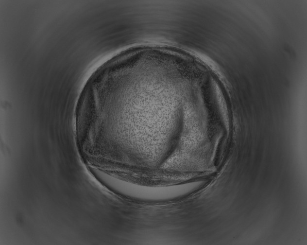 X0000090501335200708031200