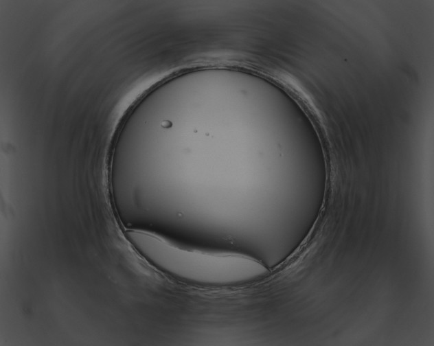 X0000090501336200708031200