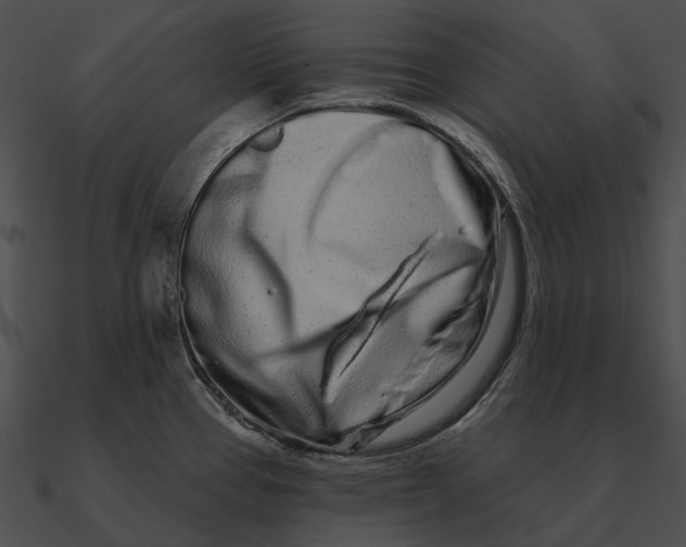 X0000090501337200708031200