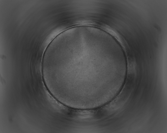 X0000090501338200708031200