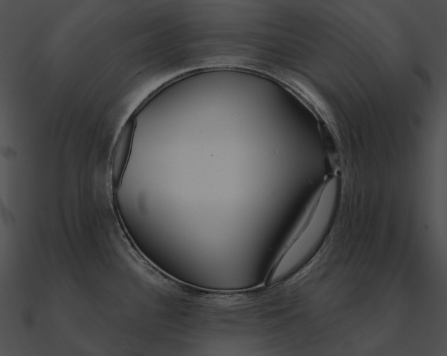 X0000090501340200708031200