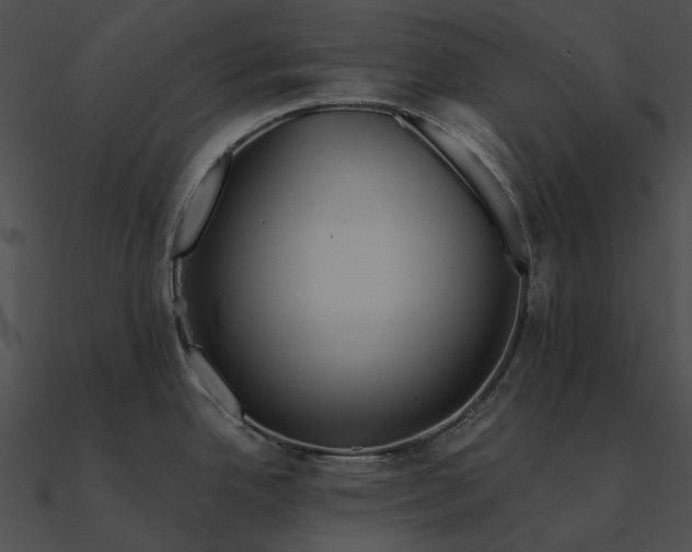 X0000090501342200708031200