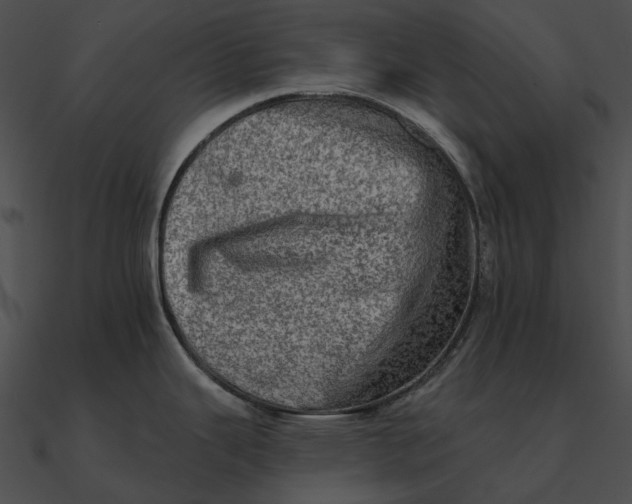 X0000090501343200708031200