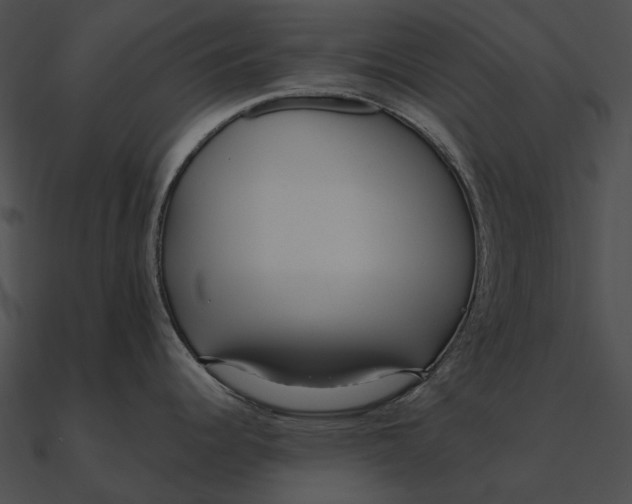 X0000090501344200708031200