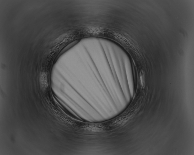 X0000090501347200708031200