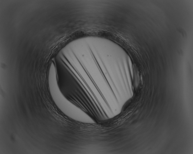 X0000090501348200708031159