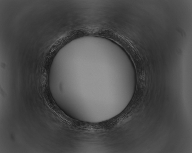 X0000090501349200708031159