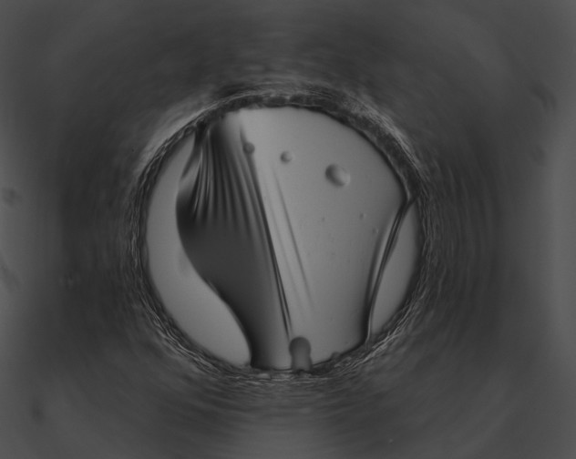 X0000090501352200708031159