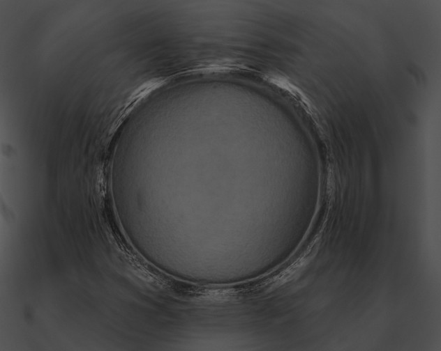 X0000090501353200708031159