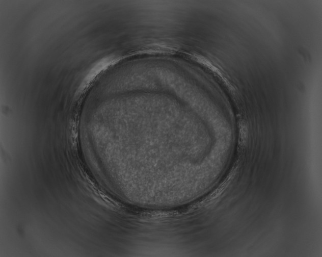 X0000090501355200708031159