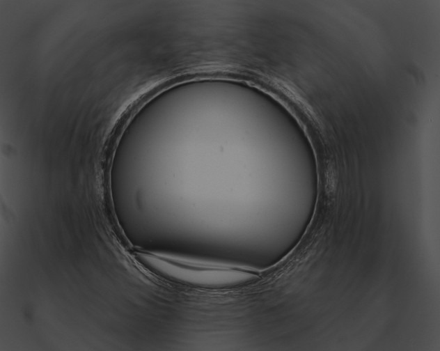 X0000090501356200708031159