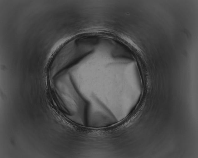 X0000090501358200708031159