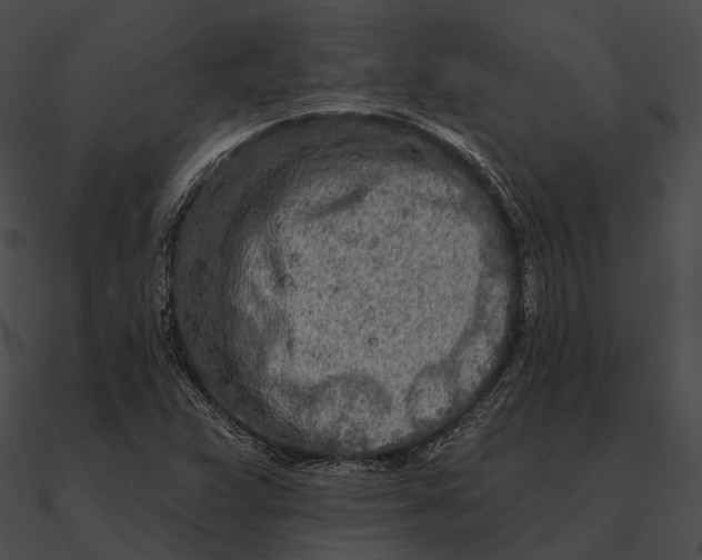 X0000090501359200708031159