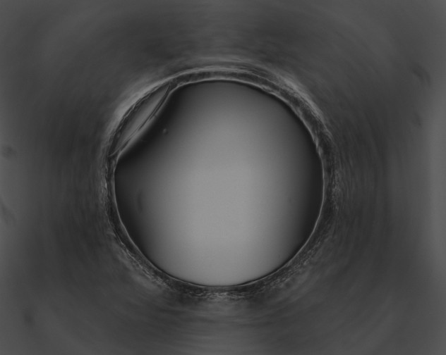 X0000090501360200708031159