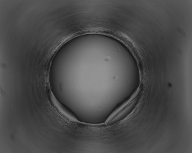 X0000090501361200708031159