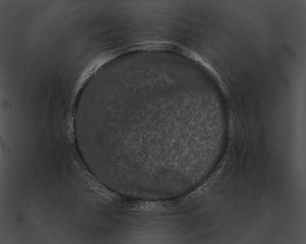 X0000090501362200708031159