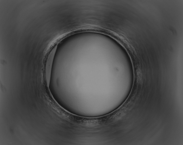 X0000090501363200708031159